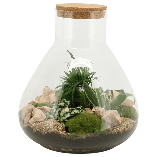 Green Plants Flask Terrarium